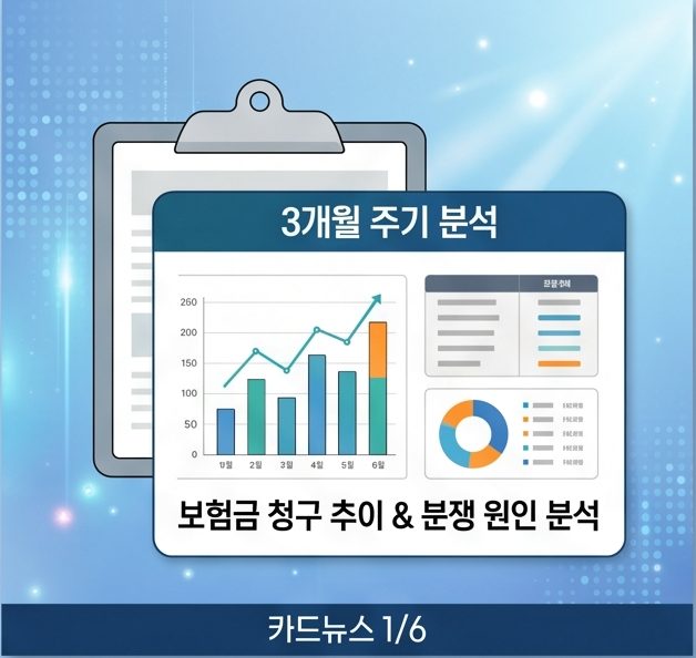 보험금 지급 심사 절차와 과잉 진료 등 피해사례 유의 사항도 함께 설명