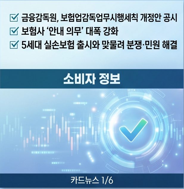 보험금 지급 심사 절차와 과잉 진료 등 피해사례 유의 사항도 함께 설명