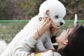 펫보험 시장, 고령 반려동물까지 가입 확산