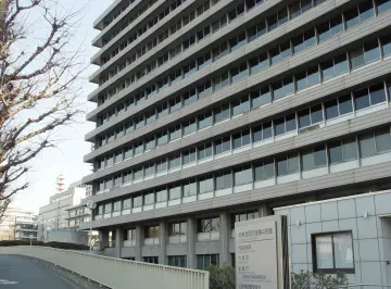 日 금융청, '리스크관리 고도화' 2차 회의… 기업경영·금융시장 연계 ...