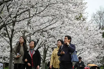 암 가족력 미고지 보험금 분쟁, 中 법원 "명확한 질문 없었다"