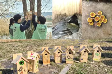 교보생명이 만든 둥지에 터 잡은 박새 가족… 생태 복원 성과 가시화