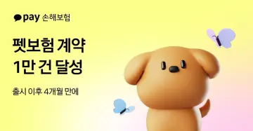 카카오페이손보 펫보험, 출시 4개월 만에 계약 1만 건 돌파… 조기 가입 경향 ‘뚜렷’