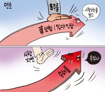 [1144호 장영우의 만평]