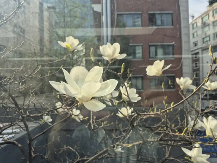 게시글 첨부 이미지 1