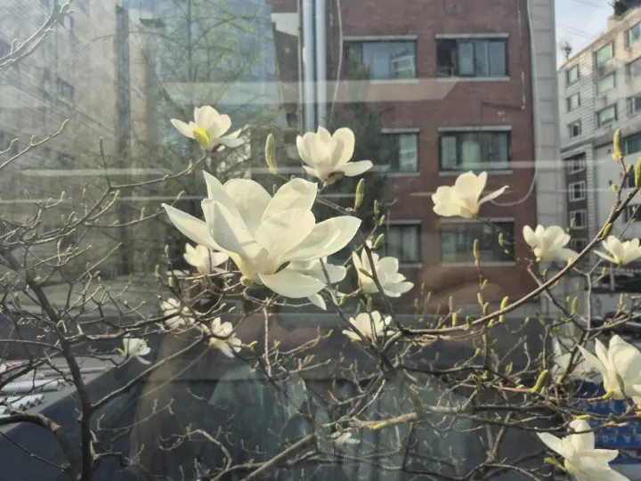게시글 첨부 이미지 2